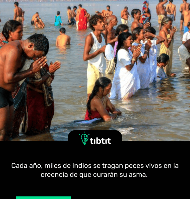 Cada año, miles de indios se tragan peces vivos en la creencia de que curarán su asma.