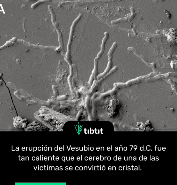 La erupción del Vesubio en el año 79 d.C. fue tan caliente que el cerebro de una de las víctimas se convirtió en cristal.