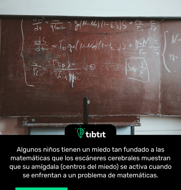 Algunos niños tienen un miedo tan fundado a las matemáticas que los escáneres cerebrales muestran que su amígdala (centros del miedo) se activa cuando se enfrentan a un problema de matemáticas.