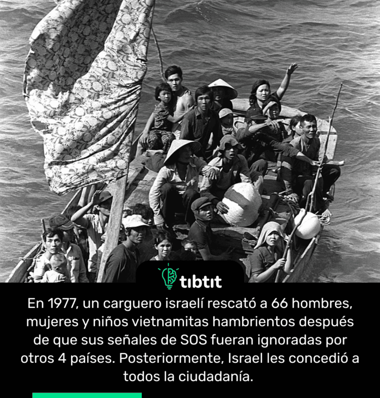 En 1977, un carguero israelí rescató a 66 hombres, mujeres y niños vietnamitas hambrientos después de que sus señales de SOS fueran ignoradas por otros 4 países. Posteriormente, Israel les concedió a todos la ciudadanía.