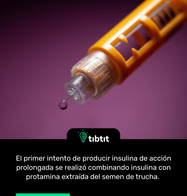 El primer intento de producir insulina de acción prolongada se realizó combinando insulina con protamina extraída del semen de trucha.