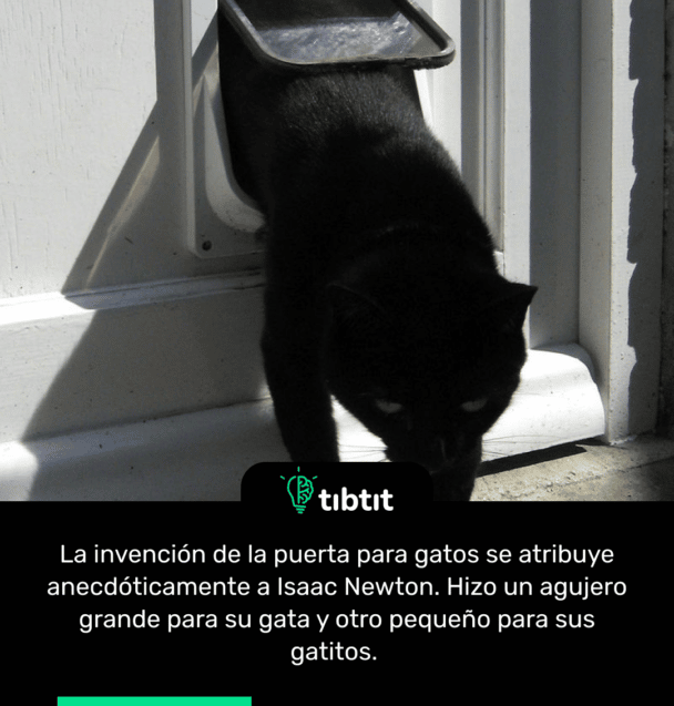 La invención de la puerta para gatos se atribuye anecdóticamente a Isaac Newton. Hizo un agujero grande para su gata y otro pequeño para sus gatitos.