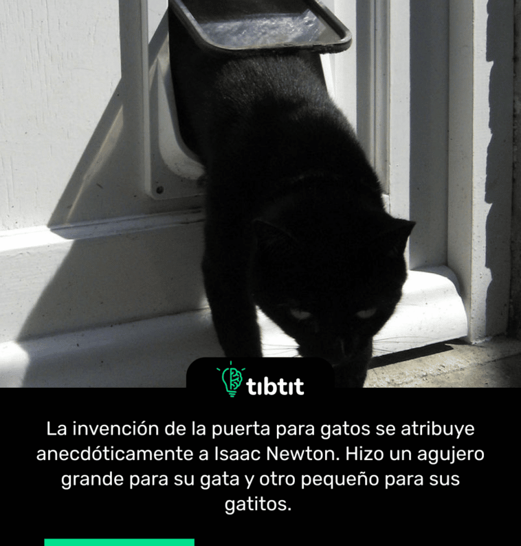 La invención de la puerta para gatos se atribuye anecdóticamente a Isaac Newton. Hizo un agujero grande para su gata y otro pequeño para sus gatitos.
