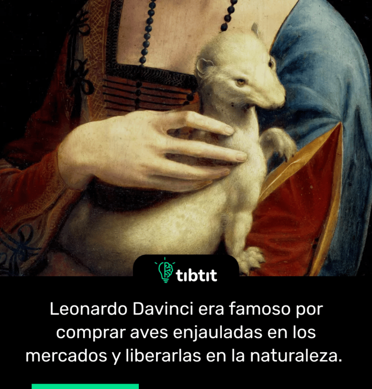 Leonardo Davinci era famoso por comprar aves enjauladas en los mercados y liberarlas en la naturaleza.