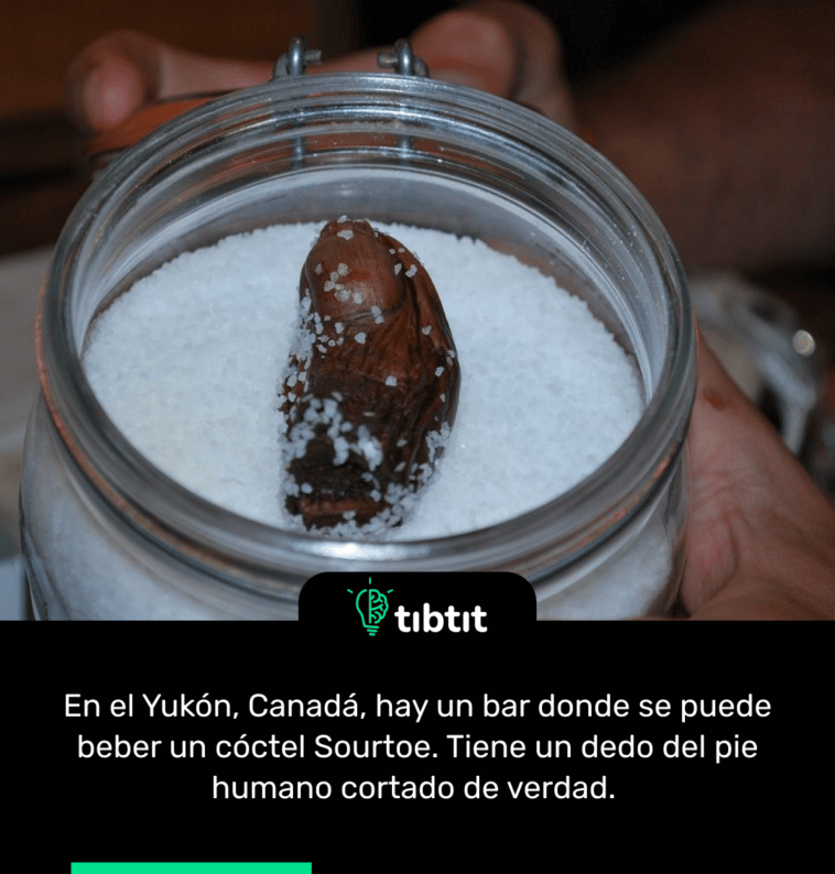 En el Yukón, Canadá, hay un bar donde se puede beber un cóctel Sourtoe. Tiene un dedo del pie humano cortado de verdad.