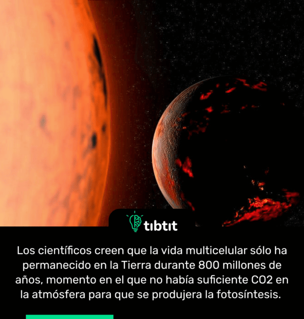 Los científicos creen que la vida multicelular sólo ha permanecido en la Tierra durante 800 millones de años, momento en el que no había suficiente CO2 en la atmósfera para que se produjera la fotosíntesis.