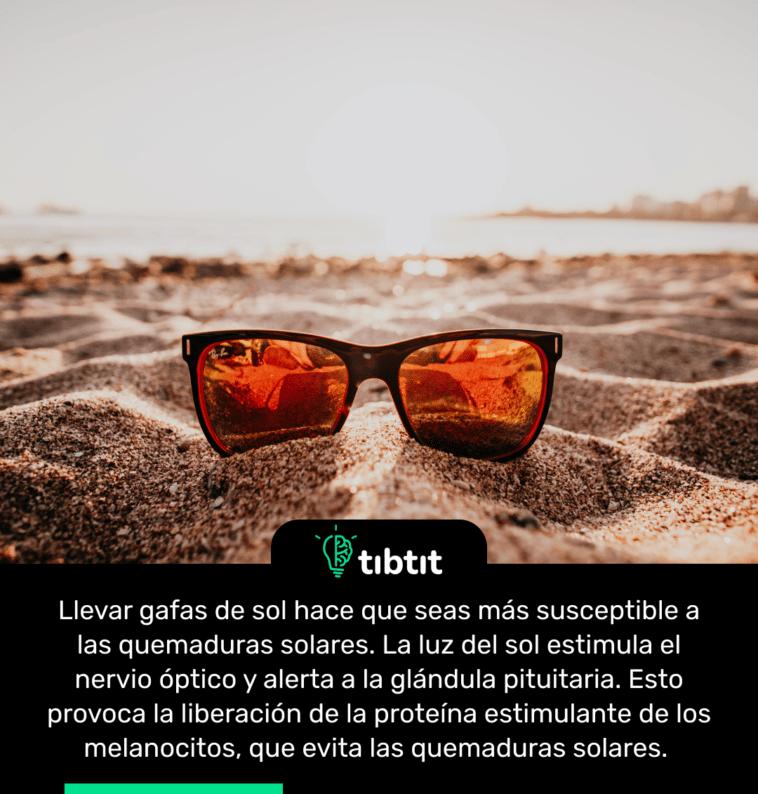 Llevar gafas de sol hace que seas más susceptible a las quemaduras solares. La luz del sol estimula el nervio óptico y alerta a la glándula pituitaria. Esto provoca la liberación de la proteína estimulante de los melanocitos, que evita las quemaduras solares.