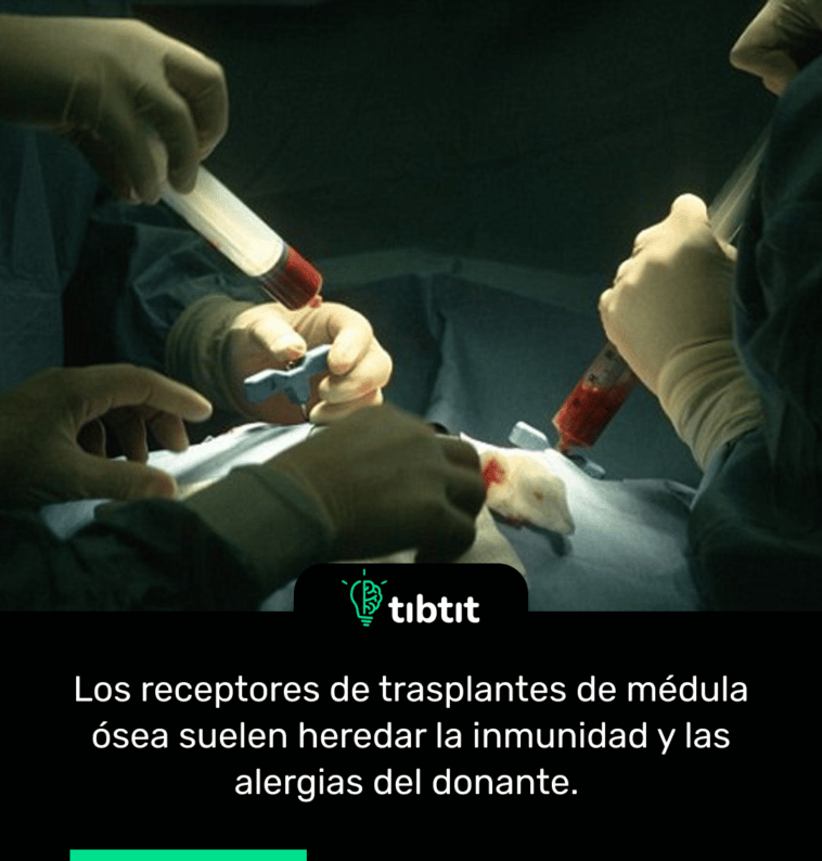Los receptores de trasplantes de médula ósea suelen heredar la inmunidad y las alergias del donante.