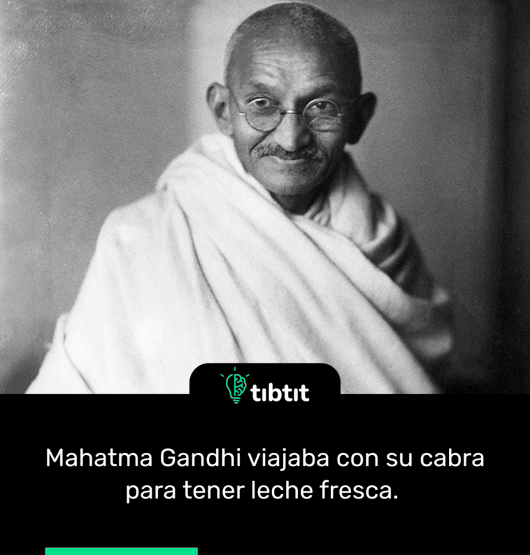 Mahatma Gandhi viajaba con su cabra para tener leche fresca.