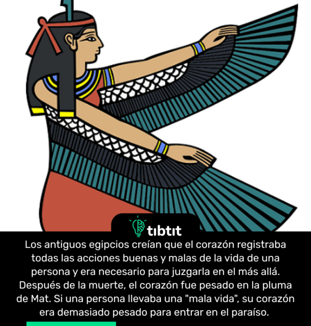 Los antiguos egipcios creían que el corazón registraba todas las acciones buenas y malas de la vida de una persona y era necesario para juzgarla en el más allá. Después de la muerte, el corazón fue pesado en la pluma de Mat. Si una persona llevaba una "mala vida", su corazón era demasiado pesado para entrar en el paraíso.
