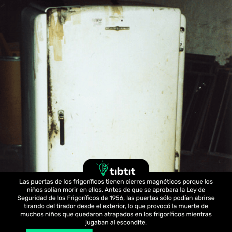 Las puertas de los frigoríficos tienen cierres magnéticos porque los niños solían morir en ellos. Antes de que se aprobara la Ley de Seguridad de los Frigoríficos de 1956, las puertas sólo podían abrirse tirando del tirador desde el exterior, lo que provocó la muerte de muchos niños que quedaron atrapados en los frigoríficos mientras jugaban al escondite.