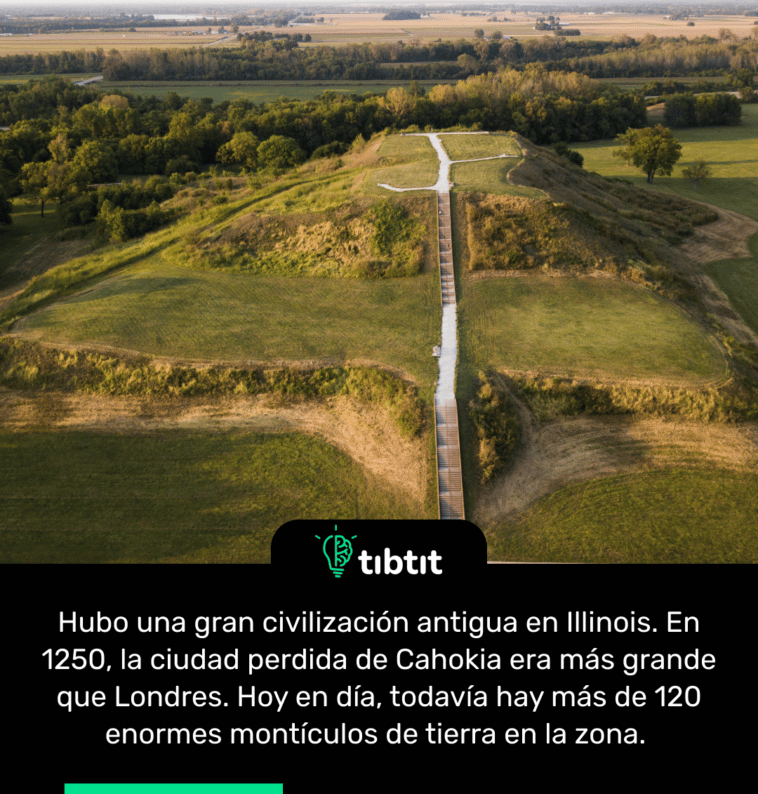 Hubo una gran civilización antigua en Illinois. En 1250, la ciudad perdida de Cahokia era más grande que Londres. Hoy en día, todavía hay más de 120 enormes montículos de tierra en la zona.