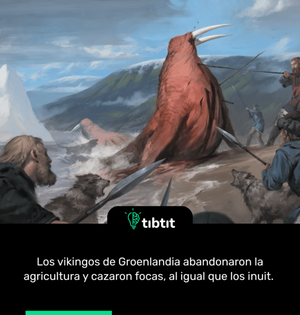 Los vikingos de Groenlandia abandonaron la agricultura y cazaron focas, al igual que los inuit.