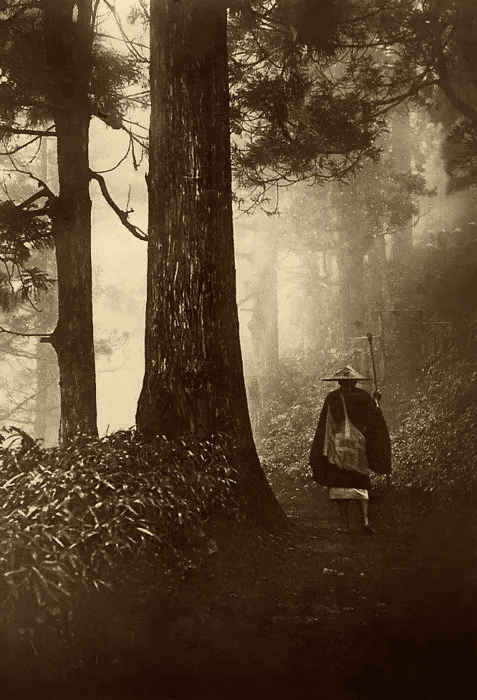 Un viajero en un camino forestal en Japón (finales del siglo XIX - principios del siglo XX).