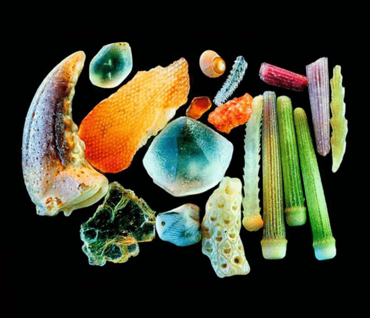 ¿Cómo se ve la arena con un aumento de 300x?