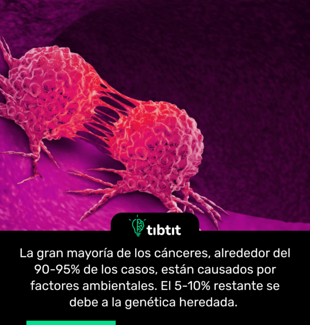 La gran mayoría de los cánceres, alrededor del 90-95% de los casos, están causados por factores ambientales. El 5-10% restante se debe a la genética heredada.