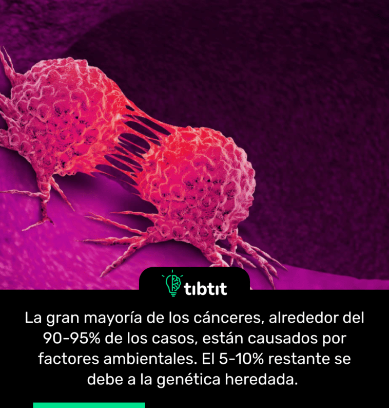 La gran mayoría de los cánceres, alrededor del 90-95% de los casos, están causados por factores ambientales. El 5-10% restante se debe a la genética heredada.