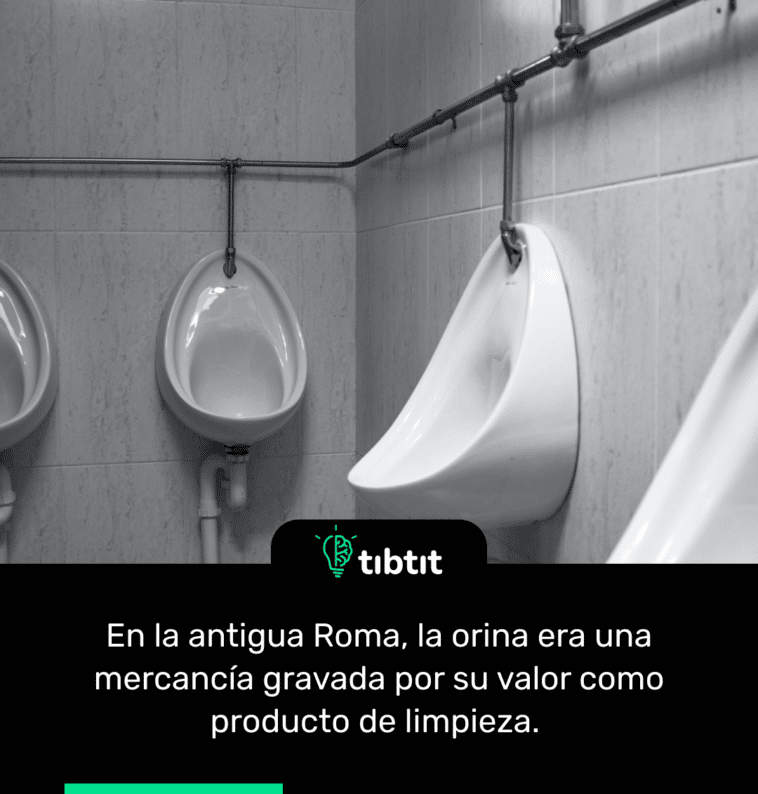 En la antigua Roma, la orina era una mercancía gravada por su valor como producto de limpieza.