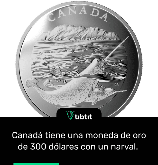 Canadá tiene una moneda de oro de 300 dólares con un narval.