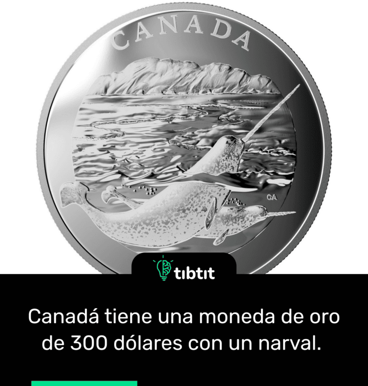 Canadá tiene una moneda de oro de 300 dólares con un narval.