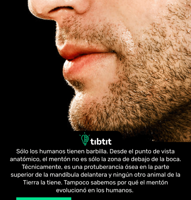 Sólo los humanos tienen barbilla. Desde el punto de vista anatómico, el mentón no es sólo la zona de debajo de la boca. Técnicamente, es una protuberancia ósea en la parte superior de la mandíbula delantera y ningún otro animal de la Tierra la tiene. Tampoco sabemos por qué el mentón evolucionó en los humanos.