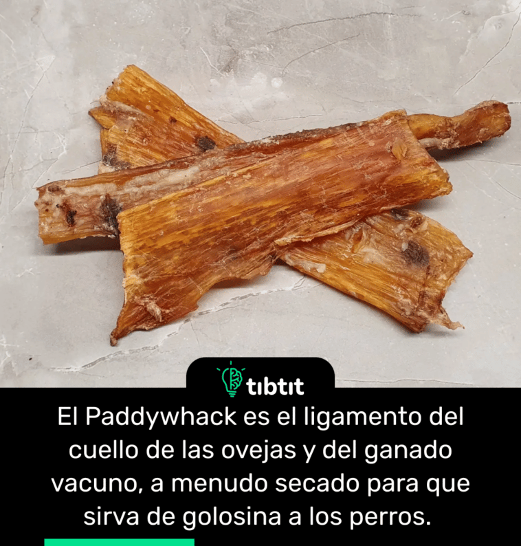 El Paddywhack es el ligamento del cuello de las ovejas y del ganado vacuno, a menudo secado para que sirva de golosina a los perros.