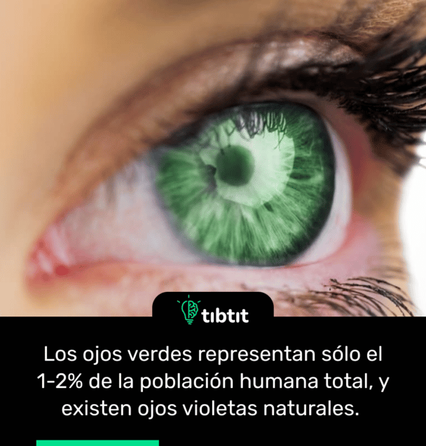 Los ojos verdes representan sólo el 1-2% de la población humana total, y existen ojos violetas naturales.