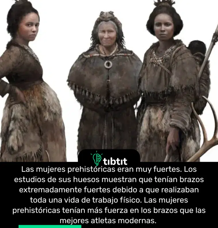 Las mujeres prehistóricas eran muy fuertes. Los estudios de sus huesos muestran que tenían brazos extremadamente fuertes debido a que realizaban toda una vida de trabajo físico. Las mujeres prehistóricas tenían más fuerza en los brazos que las mejores atletas modernas.