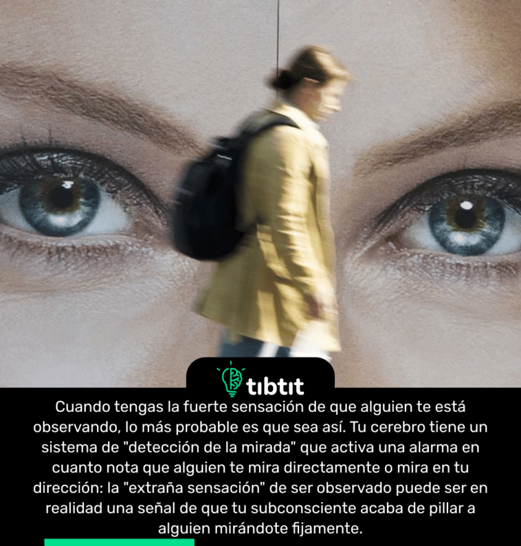 Cuando tengas la fuerte sensación de que alguien te está observando, lo más probable es que sea así. Tu cerebro tiene un sistema de "detección de la mirada" que activa una alarma en cuanto nota que alguien te mira directamente o mira en tu dirección: la "extraña sensación" de ser observado puede ser en realidad una señal de que tu subconsciente acaba de pillar a alguien mirándote fijamente.