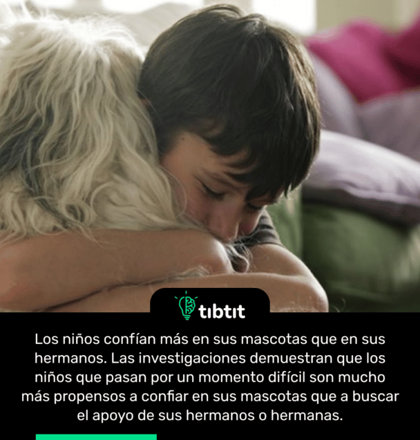 Los niños confían más en sus mascotas que en sus hermanos. Las investigaciones demuestran que los niños que pasan por un momento difícil son mucho más propensos a confiar en sus mascotas que a buscar el apoyo de sus hermanos o hermanas.