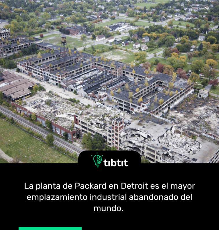 La planta de Packard en Detroit es el mayor emplazamiento industrial abandonado del mundo.