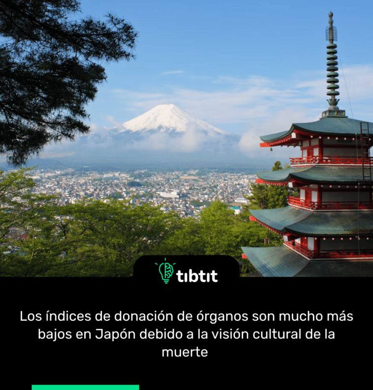 Los índices de donación de órganos son mucho más bajos en Japón debido a la visión cultural de la muerte