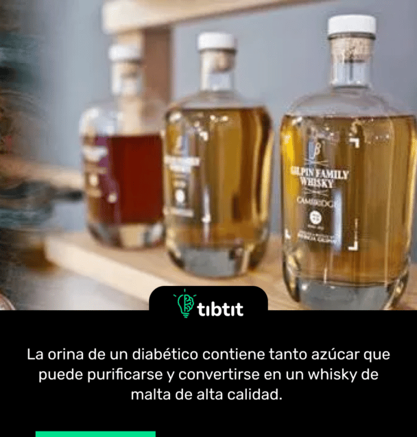 La orina de un diabético contiene tanto azúcar que puede purificarse y convertirse en un whisky de malta de alta calidad.