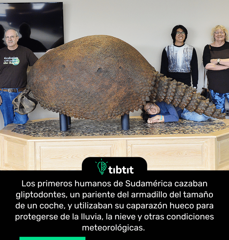 Los primeros humanos de Sudamérica cazaban gliptodontes, un pariente del armadillo del tamaño de un coche, y utilizaban su caparazón hueco para protegerse de la lluvia, la nieve y otras condiciones meteorológicas.