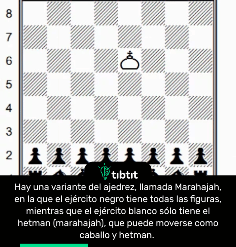 Hay una variante del ajedrez, llamada Marahajah, en la que el ejército negro tiene todas las figuras, mientras que el ejército blanco sólo tiene el hetman (marahajah), que puede moverse como caballo y hetman.