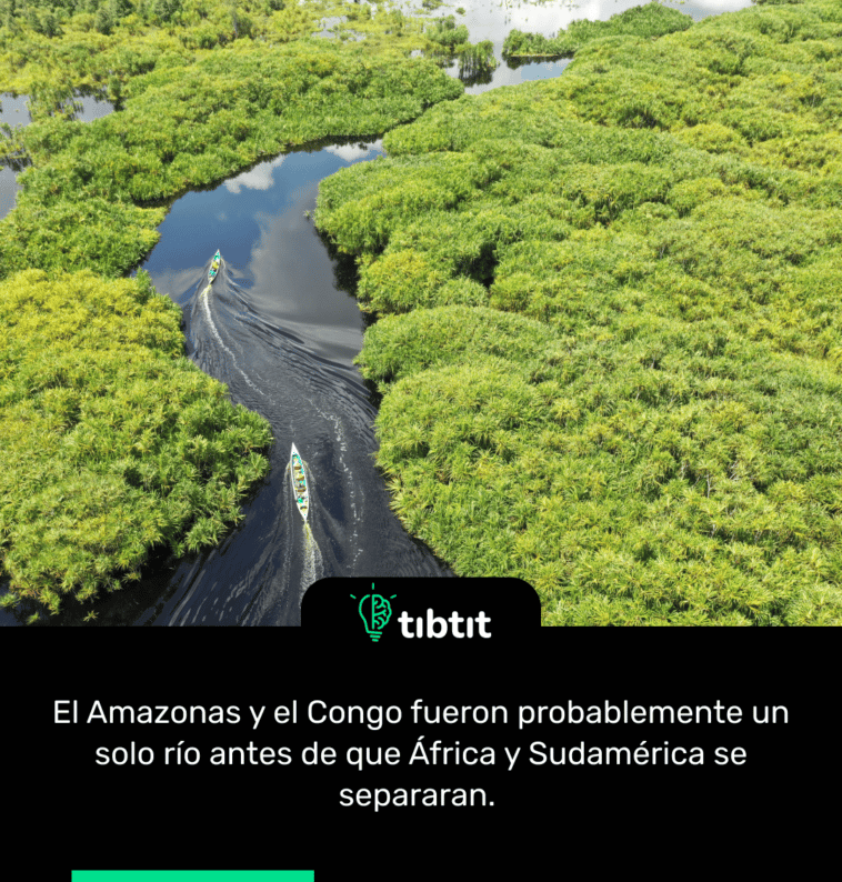 El Amazonas y el Congo fueron probablemente un solo río antes de que África y Sudamérica se separaran.