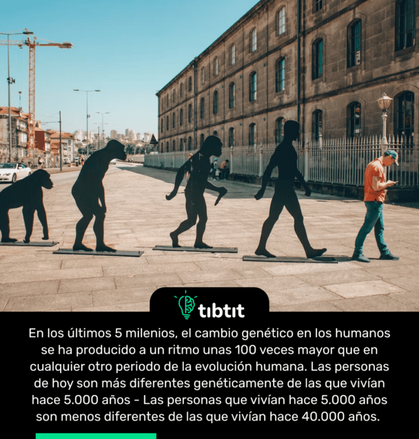 En los últimos 5 milenios, el cambio genético en los humanos se ha producido a un ritmo unas 100 veces mayor que en cualquier otro periodo de la evolución humana. Las personas de hoy son más diferentes genéticamente de las que vivían hace 5.000 años - Las personas que vivían hace 5.000 años son menos diferentes de las que vivían hace 40.000 años.