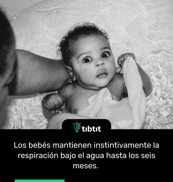 Los bebés mantienen instintivamente la respiración bajo el agua hasta los seis meses.