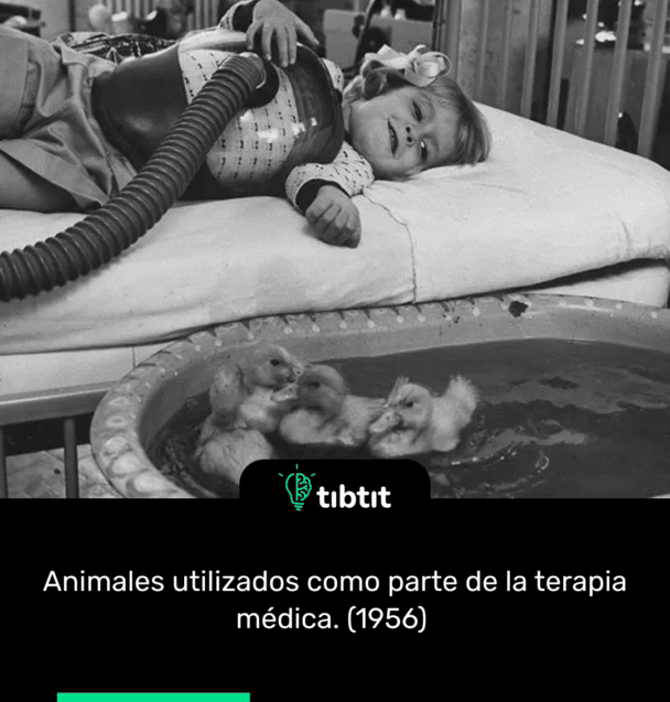 Animales utilizados como parte de la terapia médica. (1956)