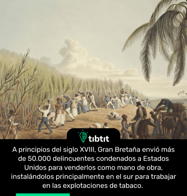 A principios del siglo XVIII, Gran Bretaña envió más de 50.000 delincuentes condenados a Estados Unidos para venderlos como mano de obra, instalándolos principalmente en el sur para trabajar en las explotaciones de tabaco.