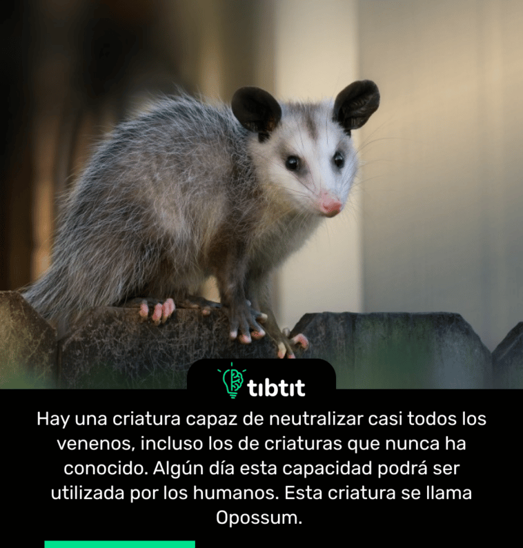 Hay una criatura capaz de neutralizar