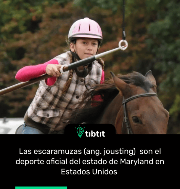 Las escaramuzas (ang. jousting) son el deporte oficial del estado de Maryland en Estados Unidos