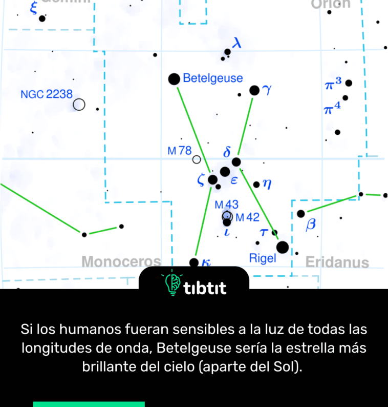 Si los humanos fueran sensibles a la luz de todas las longitudes de onda, Betelgeuse sería la estrella más brillante del cielo (aparte del Sol).