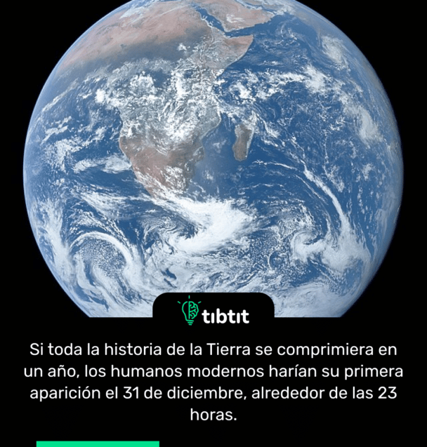 Si toda la historia de la Tierra se comprimiera en un año, los humanos modernos harían su primera aparición el 31 de diciembre, alrededor de las 23 horas.