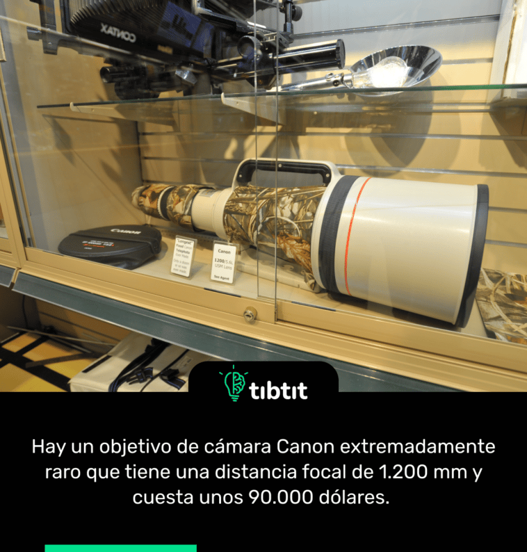 Hay un objetivo de cámara Canon extremadamente raro que tiene una distancia focal de 1.200 mm y cuesta unos 90.000 dólares.