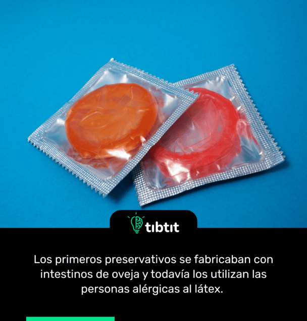 Los primeros preservativos se fabricaban con intestinos de oveja y todavía los utilizan las personas alérgicas al látex.