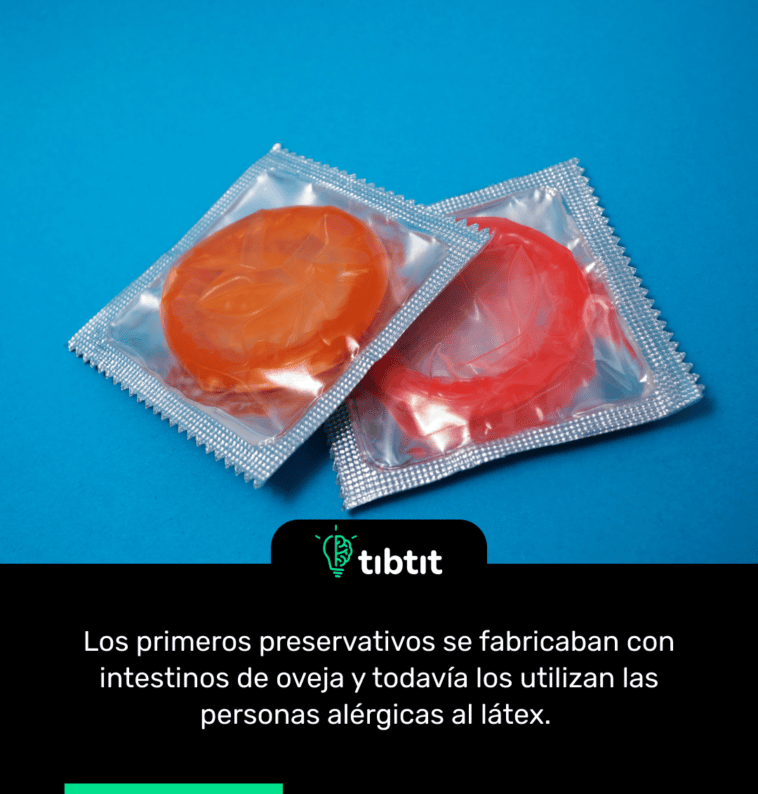 Los primeros preservativos se fabricaban con intestinos de oveja y todavía los utilizan las personas alérgicas al látex.