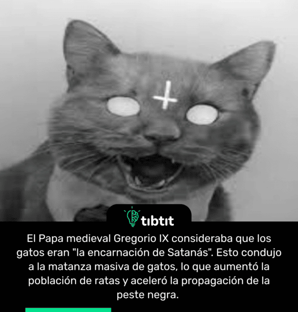 El Papa medieval Gregorio IX consideraba que los gatos eran "la encarnación de Satanás". Esto condujo a la matanza masiva de gatos, lo que aumentó la población de ratas y aceleró la propagación de la peste negra.
