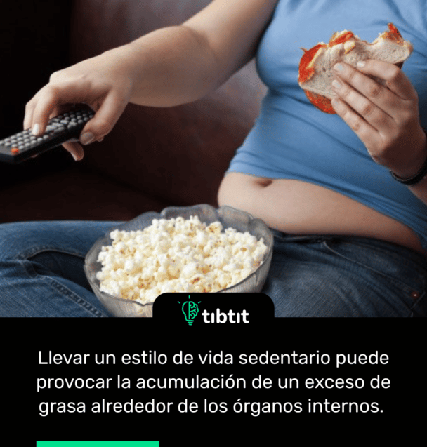 Llevar un estilo de vida sedentario puede provocar la acumulación de un exceso de grasa alrededor de los órganos internos.