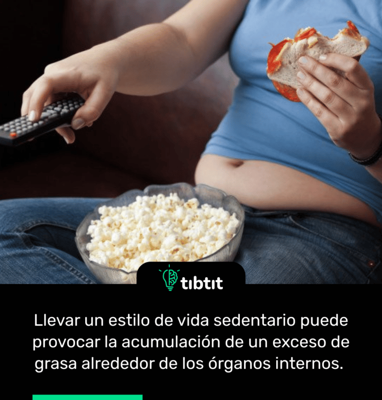 Llevar un estilo de vida sedentario puede provocar la acumulación de un exceso de grasa alrededor de los órganos internos.
